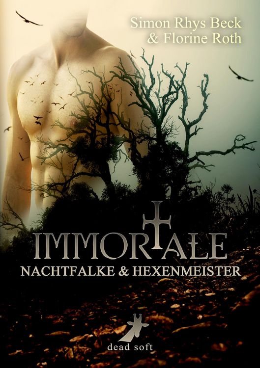 Produktbild: Immortale - Nachtfalke und Hexenmeister
