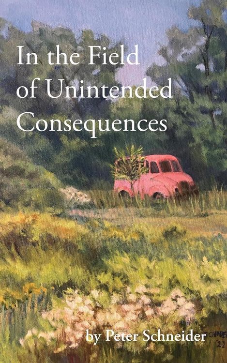 Produktbild: In the Field of Unintended Consequences