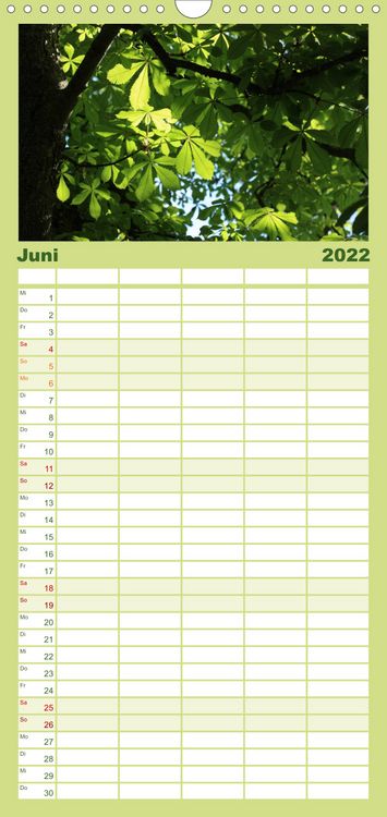 Produktbild: Es gr&uuml;nt! - Familienplaner hoch (Wandkalender 2022 , 21 cm x 45 cm, hoch)