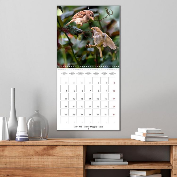 Produktbild: The Wild Sparrow Gang (Wall Calendar 2026 12 &times; 12 Inch) CALVENDO 12 Month Wall Calendar