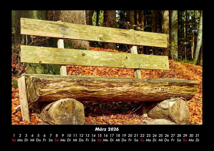 Produktbild: Waldzauber 2026 Fotokalender DIN A3