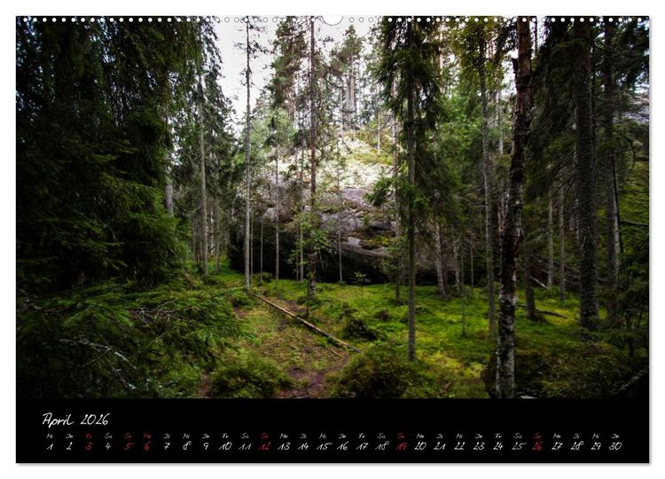 Produktbild: Wald (Wandkalender 2026 DIN A2 quer), CALVENDO Monatskalender