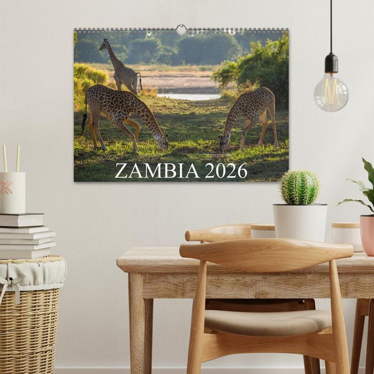 Produktbild: Zambia (Wall Calendar 2026 DIN A3 landscape), CALVENDO 12 Month Wall Calendar