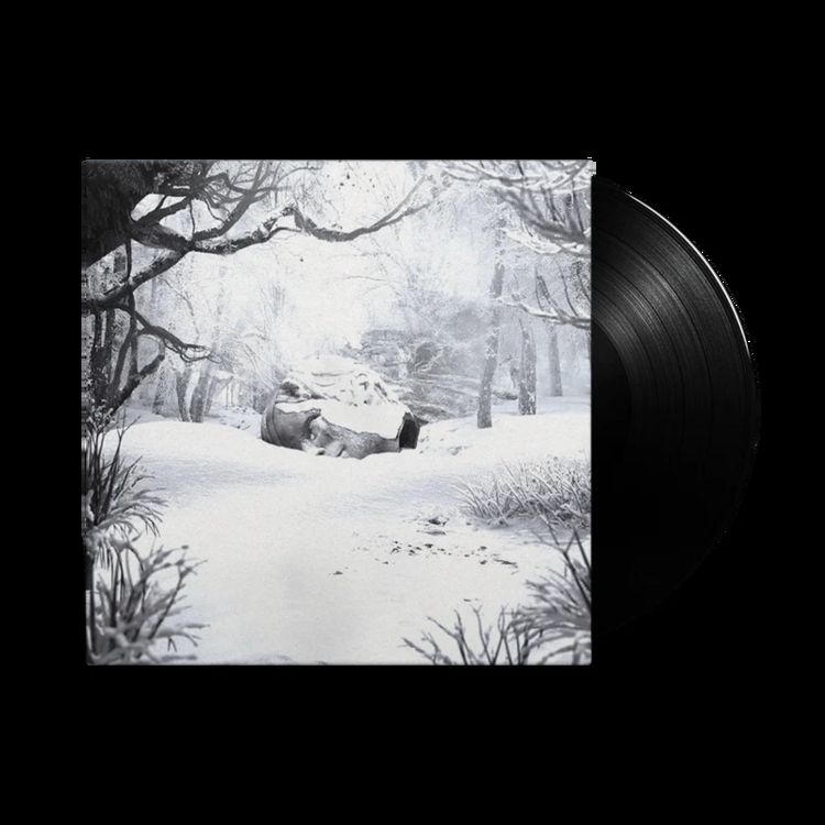 Produktbild: SZNZ: Winter