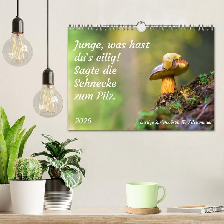 Produktbild: Junge, was hast du`s eilig (Wandkalender 2026 DIN A4 quer), CALVENDO Monatskalender