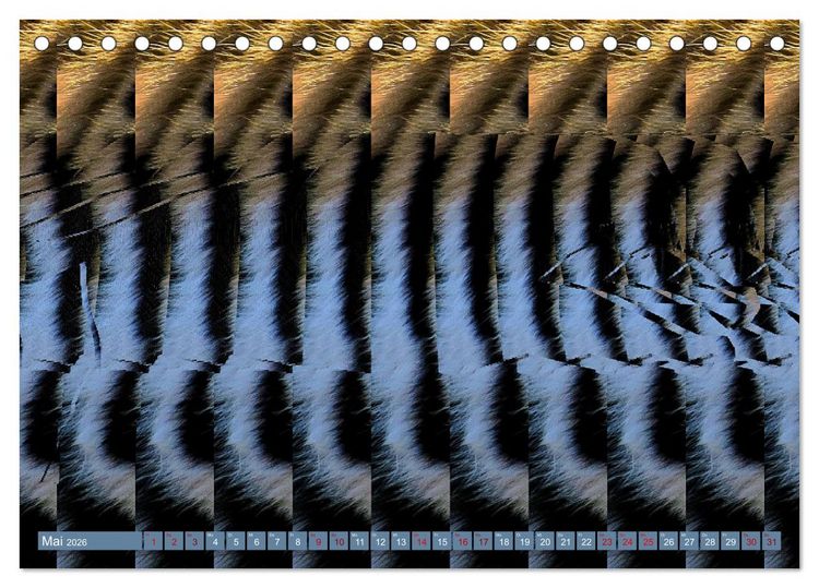 Produktbild: Magische Bilder - fantastische Stereogramme (Tischkalender 2026 DIN A5 quer), CALVENDO Monatskalender