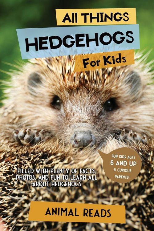 Produktbild: All Things Hedgehogs For Kids