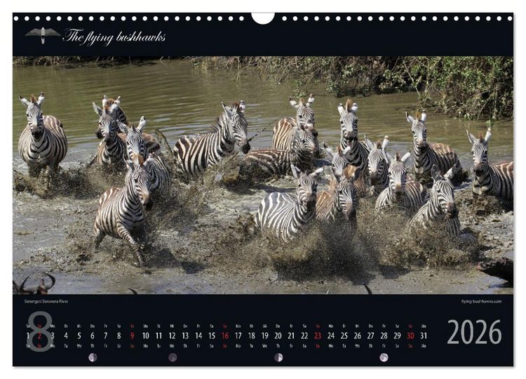 Produktbild: Tansania Blickwinkel 2026 (Wandkalender 2026 DIN A3 quer), CALVENDO Monatskalender