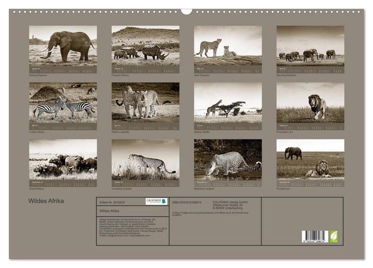 Produktbild: Wildes Afrika (Wandkalender 2026 DIN A2 quer), CALVENDO Monatskalender
