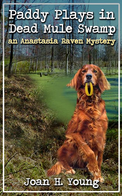 Produktbild: Paddy Plays in Dead Mule Swamp