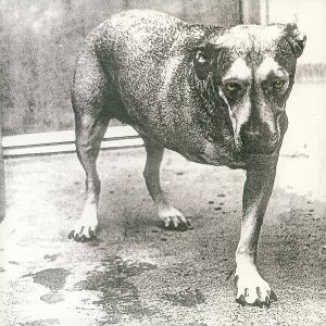 Produktbild: Alice In Chains/coloured vinyl