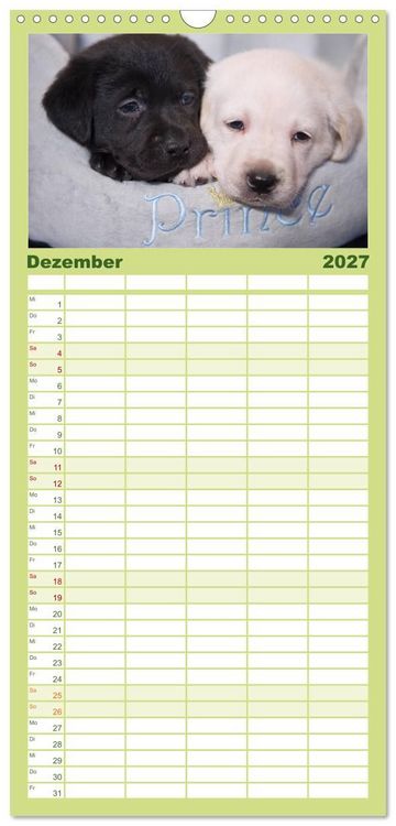 Produktbild: Familienplaner 2027 - Labrador Welpen mit 5 Spalten (Wandkalender, 21 x 45 cm) CALVENDO