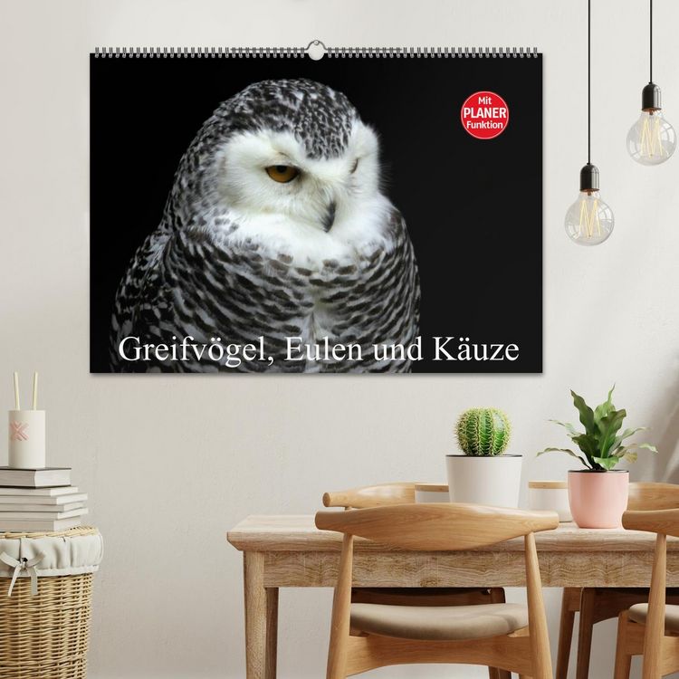 Produktbild: Greifv&ouml;gel, Eulen und K&auml;uze (Wandkalender 2026 DIN A2 quer), CALVENDO Monatskalender