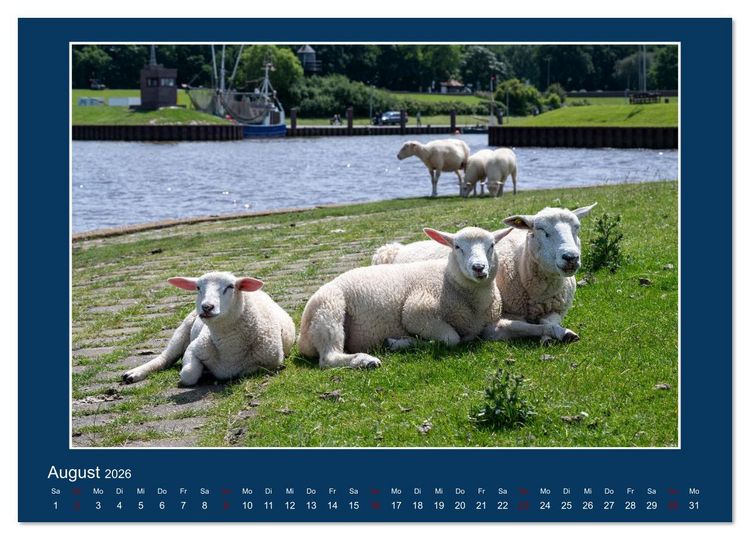 Produktbild: Dangast. Impressionen eines besonderen Ortes. (Wandkalender 2026 DIN A3 quer), CALVENDO Monatskalender