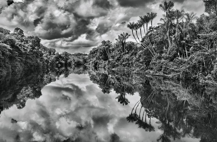 Produktbild: Amaz&ocirc;nia. Sebasti&atilde;o Salgado
