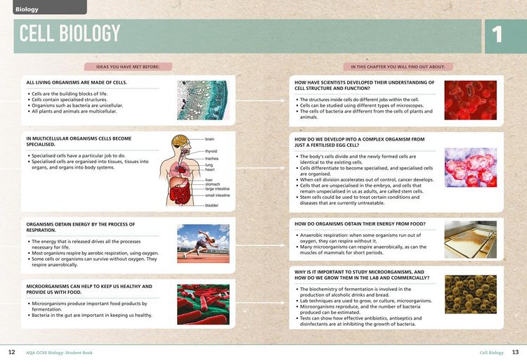 Produktbild: GCSE SCIENCE-AQA GCSE (9-1) B_