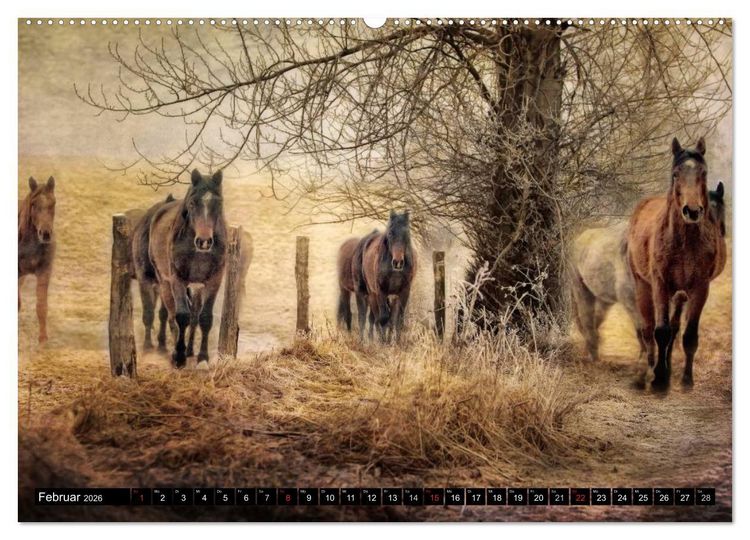 Produktbild: Western und Pferde (hochwertiger Premium Wandkalender 2026 DIN A2 quer), Kunstdruck in Hochglanz