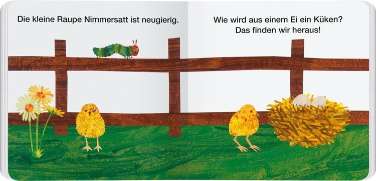 Produktbild: Vom Ei zum K&uuml;ken