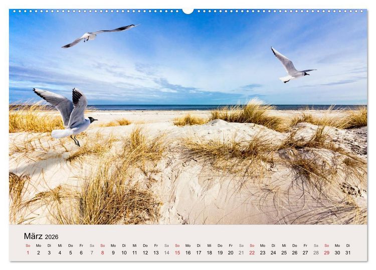 Produktbild: STRANDLUST: Fischland-Dar&szlig;-Zingst (hochwertiger Premium Wandkalender 2026 DIN A2 quer), Kunstdruck in Hochglanz