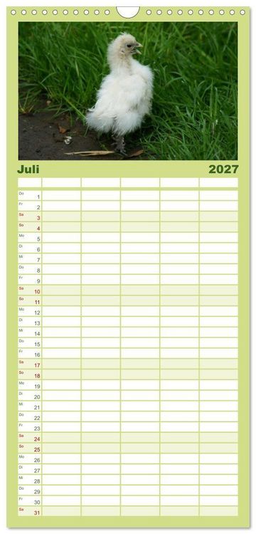 Produktbild: Familienplaner 2027 - Die Welt der H&uuml;hner mit 5 Spalten (Wandkalender, 21 x 45 cm) CALVENDO
