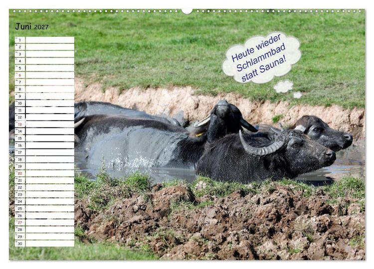 Produktbild: Wenn Tiere Sprechen k&ouml;nnten! Der lustige Spr&uuml;che Geburtstagskalender (Wandkalender 2027 DIN A2 quer), CALVENDO Monatskalender