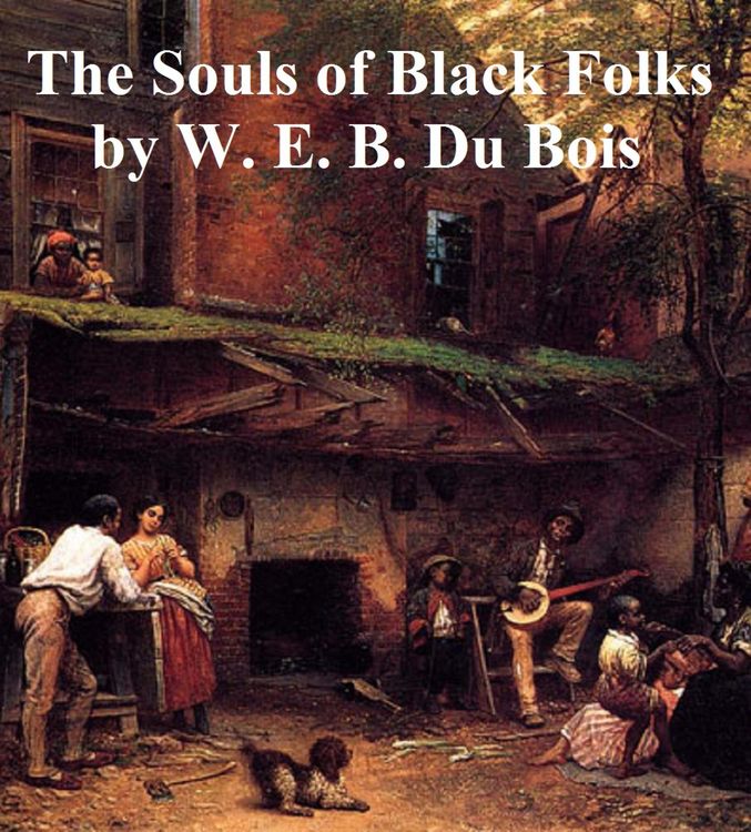 Produktbild: The Souls of Black Folk