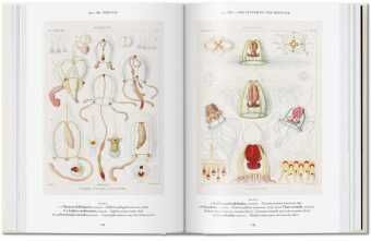 Produktbild: The Art and Science of Ernst Haeckel