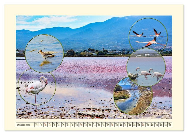 Produktbild: Natur und Kultur der Insel Kos (Tischkalender 2026 DIN A5 quer), CALVENDO Monatskalender