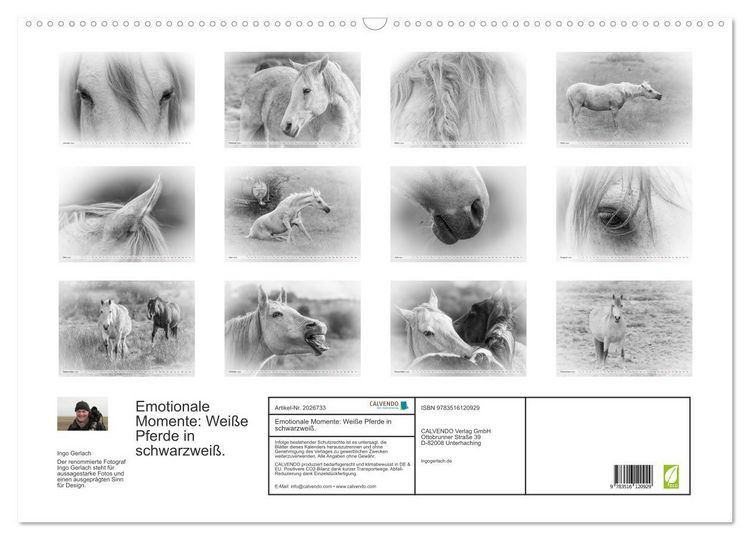 Produktbild: Emotionale Momente: Wei&szlig;e Pferde in schwarzwei&szlig;. (Wandkalender 2026 DIN A2 quer), CALVENDO Monatskalender