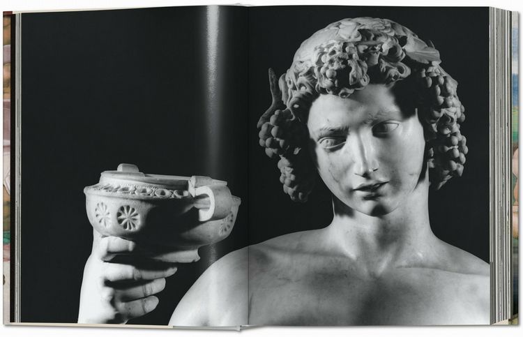 Produktbild: Michelangelo