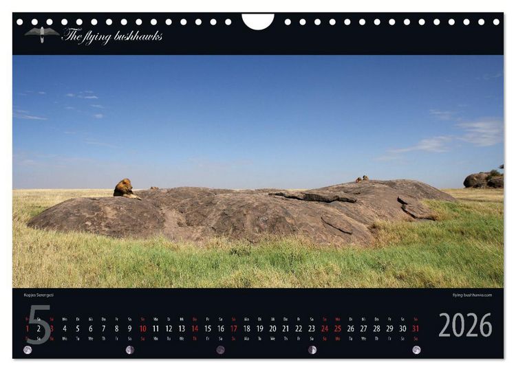 Produktbild: Tansania Blickwinkel 2026 (Wandkalender 2026 DIN A4 quer), CALVENDO Monatskalender