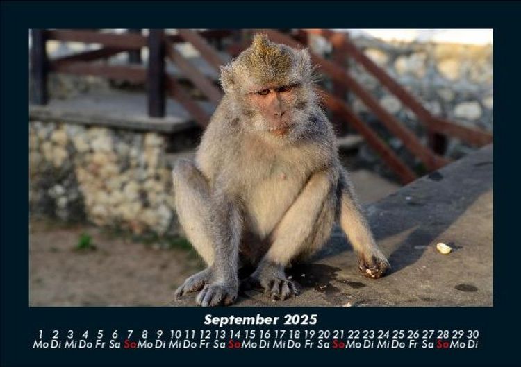 Produktbild: Indonesien 2025 Fotokalender DIN A5