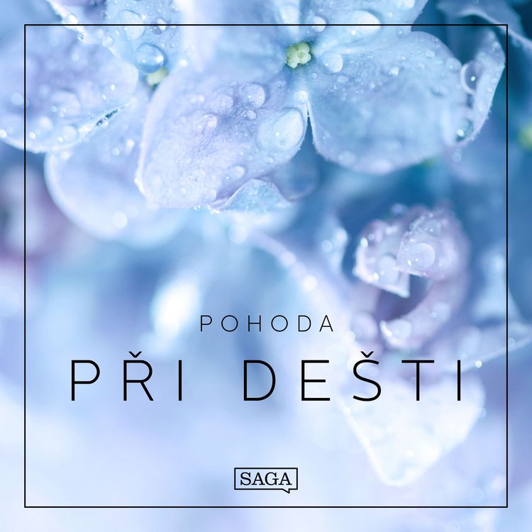 Produktbild: Pohoda &ndash; Při de&scaron;ti