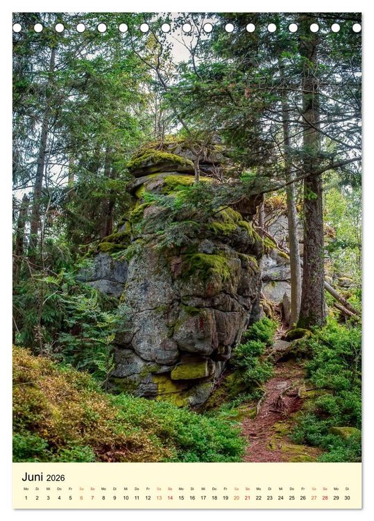 Produktbild: Abenteuer Nationalpark in Deutschland (Tischkalender 2026 DIN A5 hoch), CALVENDO Monatskalender