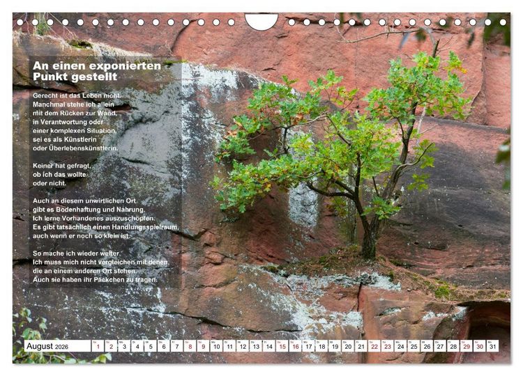 Produktbild: Stehen wie ein Baum (Wandkalender 2026 DIN A4 quer), CALVENDO Monatskalender