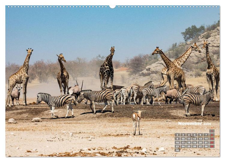 Produktbild: Namibia, Sch&ouml;nheit und Vielfalt (hochwertiger Premium Wandkalender 2026 DIN A2 quer), Kunstdruck in Hochglanz
