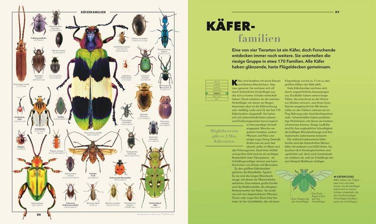 Produktbild: Universum des Wissens