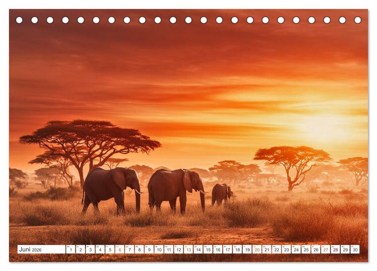 Produktbild: Ungez&auml;hmte Natur (Tischkalender 2026 DIN A5 quer), CALVENDO Monatskalender