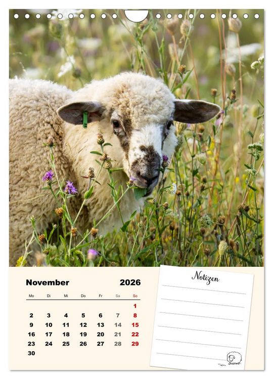 Produktbild: L&auml;mmergl&uuml;ck (Wandkalender 2026 DIN A4 hoch), CALVENDO Monatskalender