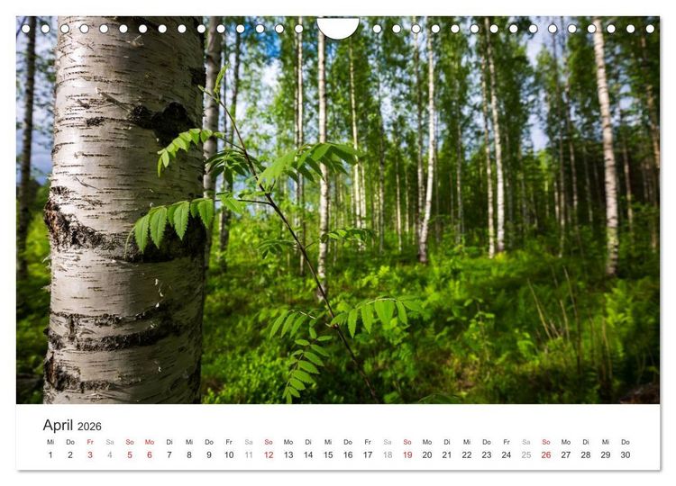 Produktbild: Landschaften Finnlands (Wandkalender 2026 DIN A4 quer), CALVENDO Monatskalender