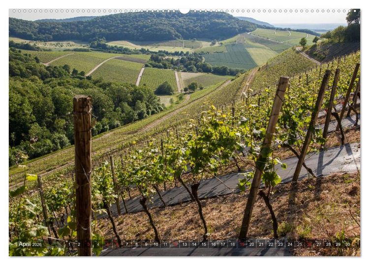 Produktbild: Weinlagen in Franken (hochwertiger Premium Wandkalender 2026 DIN A2 quer), Kunstdruck in Hochglanz