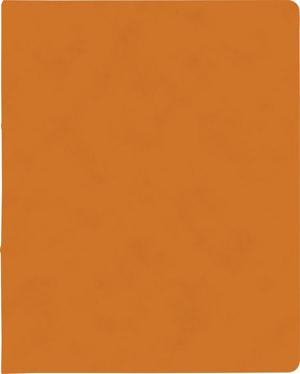 Produktbild: Brunnen Ringbuch FACT!plus &brvbar; A4, 2 Ringe, F&uuml;llh&ouml;he: 15 mm, orange