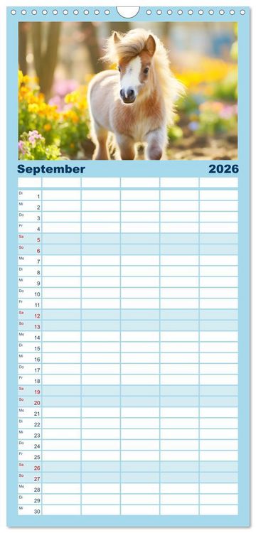 Produktbild: Familienplaner 2026 - Kleine Pferde. Mini-Ponys zum verlieben mit 5 Spalten (Wandkalender, 21 x 45 cm) CALVENDO