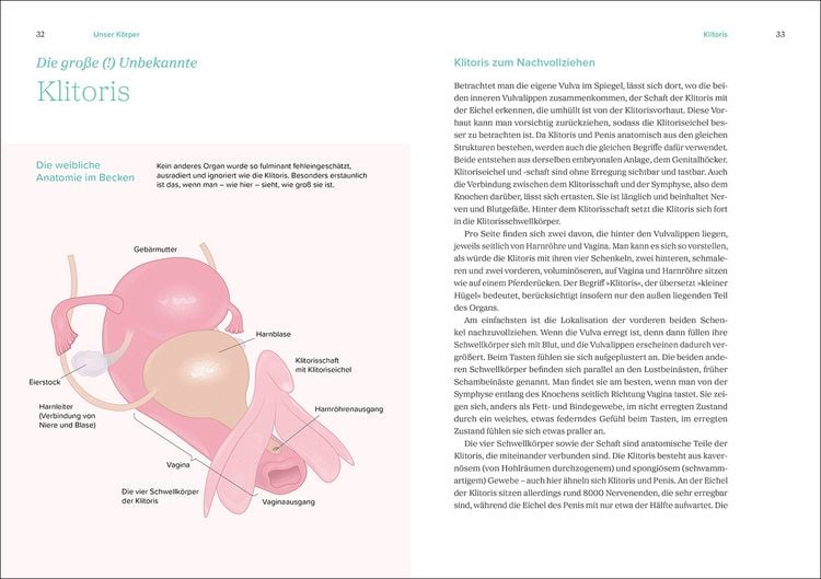Produktbild: Das gro&szlig;e Gynbuch