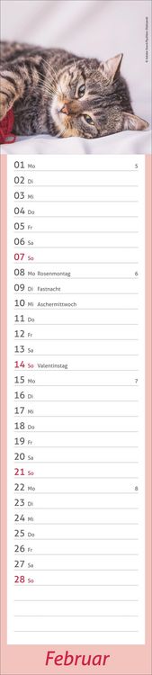 Produktbild: times&more Katzen Langplaner 2027