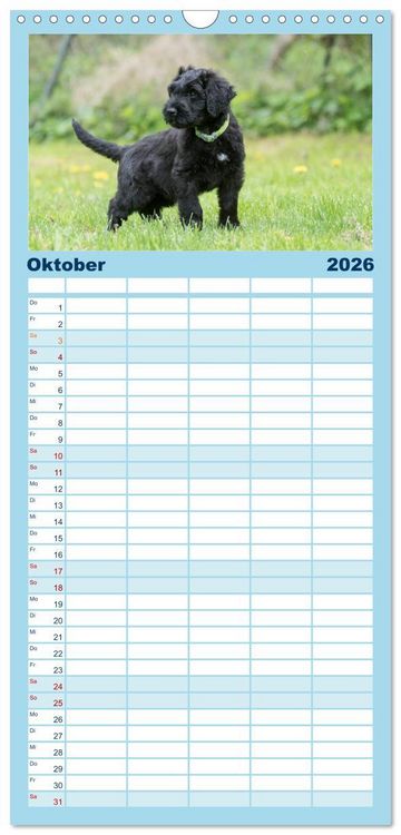Produktbild: Familienplaner 2026 - Briardbabys in ihren ersten Wochen mit 5 Spalten (Wandkalender, 21 x 45 cm) CALVENDO