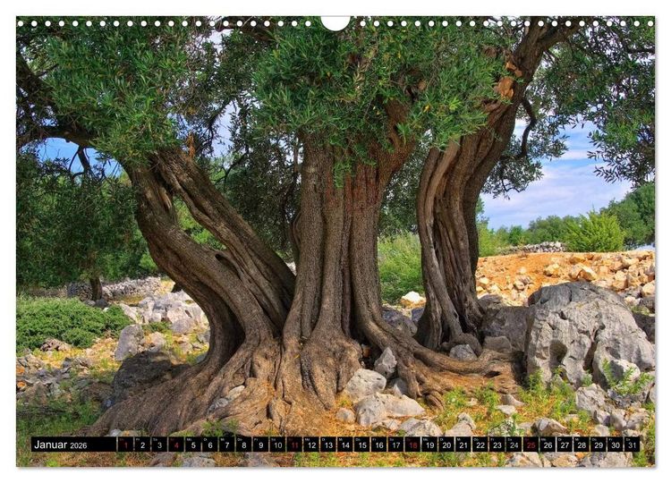 Produktbild: Kvarner Golf - Kroatien (Wandkalender 2026 DIN A3 quer), CALVENDO Monatskalender