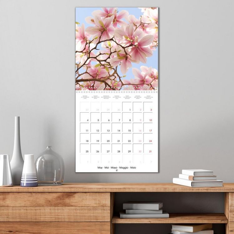 Produktbild: Kruse, G: Floraison des magnolias (Calendrier mural carr&eacute; 20