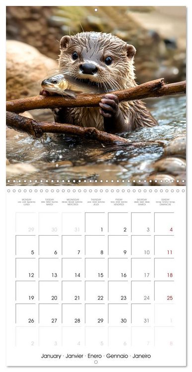 Produktbild: Cute Otter Moments (Wall Calendar 2026 12 &times; 12 Inch) CALVENDO 12 Month Wall Calendar