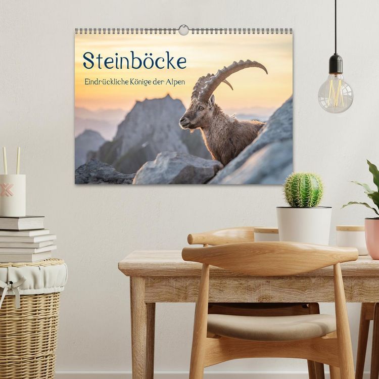 Produktbild: Steinb&ouml;cke - Eindr&uuml;ckliche K&ouml;nige der Alpen (Wandkalender 2026 DIN A3 quer), CALVENDO Monatskalender
